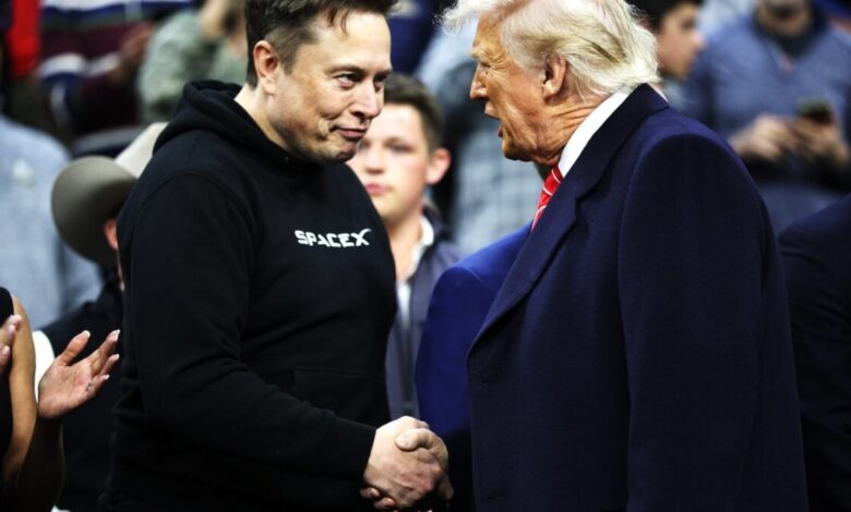 Trump desafia Musk a voltar para a África do Sul em briga