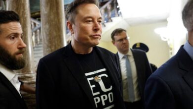 Elon Musk usa meme para acusar Trump de encobrimento