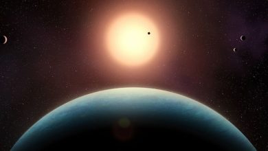 NASA descobre exoplaneta em órbita de 35 anos-luz que pode abrigar vida