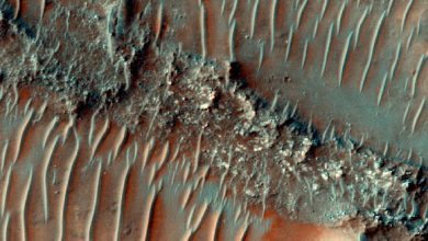 This HiRISE image shows a flat top, heavily eroded fluvial sinuous ridge on Mars; sand dunes can be seen migrating over the top of the fluvial sinuous ridge. Image credit: NASA / JPL / University of Arizona.