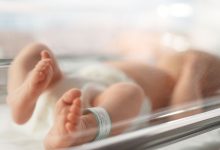 MitoGene explora terapia genética em bebês de três pais