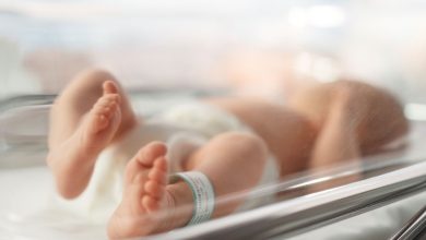 MitoGene explora terapia genética em bebês de três pais