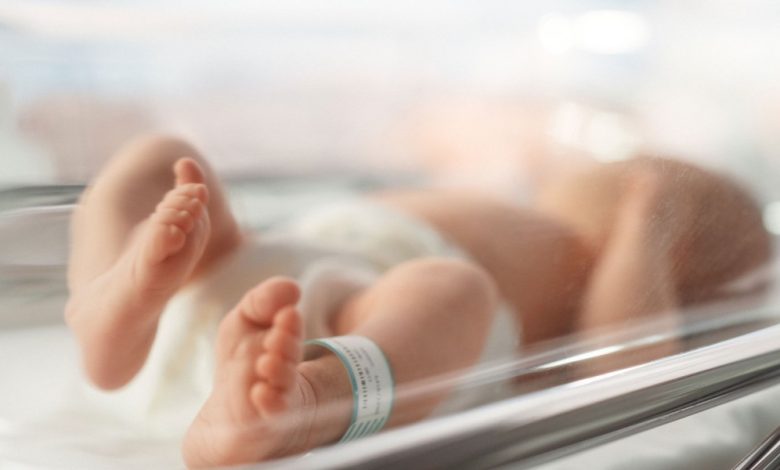 MitoGene explora terapia genética em bebês de três pais