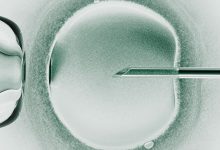 Tratamento genético resulta em bebês de fertilização tridimensional