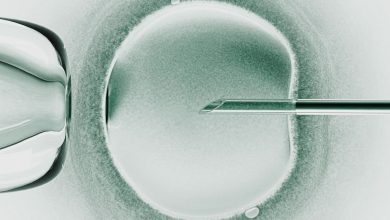 Tratamento genético resulta em bebês de fertilização tridimensional