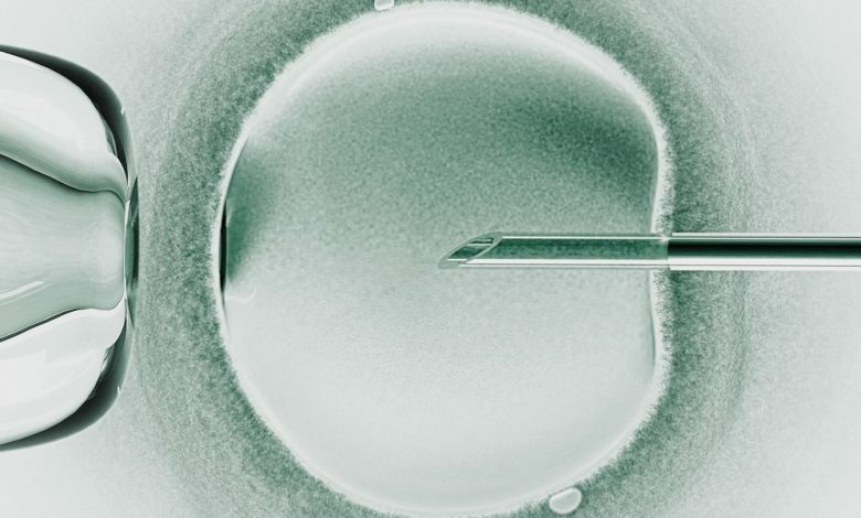 Tratamento genético resulta em bebês de fertilização tridimensional