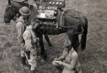 Exército abandona cavalos de guerra em era de gadgets modernos