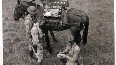 Exército abandona cavalos de guerra em era de gadgets modernos