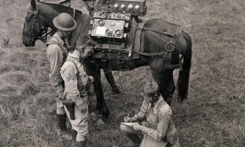 Exército abandona cavalos de guerra em era de gadgets modernos