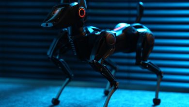 Hengbot lança robô cão open-source mais barato que iPhone