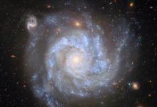 This Hubble shows NGC 1309, a spiral galaxy some 100 million light-years away in the constellation of Eridanus. The color image is made up of observations from Hubble’s Advanced Camera for Surveys (ACS) and Wide Field Camera 3 (WFC3) and in the ultraviolet, infrared, and optical parts of the spectrum. Four filters were used to sample various wavelengths. The color results from assigning different hues to each monochromatic image associated with an individual filter. Image credit: NASA / ESA / Hubble / L. Galbany / S. Jha / K. Noll / A. Riess.