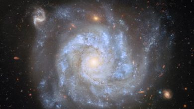 This Hubble shows NGC 1309, a spiral galaxy some 100 million light-years away in the constellation of Eridanus. The color image is made up of observations from Hubble’s Advanced Camera for Surveys (ACS) and Wide Field Camera 3 (WFC3) and in the ultraviolet, infrared, and optical parts of the spectrum. Four filters were used to sample various wavelengths. The color results from assigning different hues to each monochromatic image associated with an individual filter. Image credit: NASA / ESA / Hubble / L. Galbany / S. Jha / K. Noll / A. Riess.