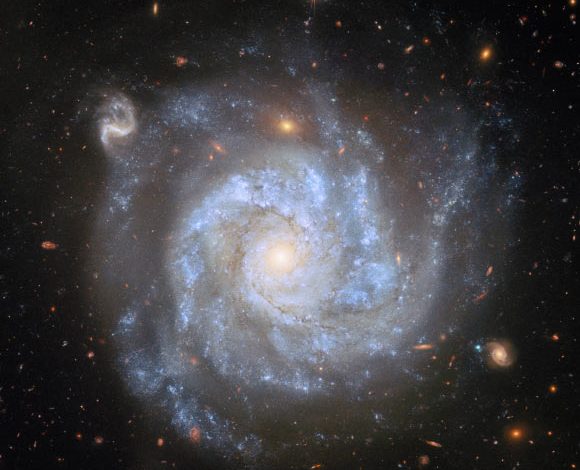 This Hubble shows NGC 1309, a spiral galaxy some 100 million light-years away in the constellation of Eridanus. The color image is made up of observations from Hubble’s Advanced Camera for Surveys (ACS) and Wide Field Camera 3 (WFC3) and in the ultraviolet, infrared, and optical parts of the spectrum. Four filters were used to sample various wavelengths. The color results from assigning different hues to each monochromatic image associated with an individual filter. Image credit: NASA / ESA / Hubble / L. Galbany / S. Jha / K. Noll / A. Riess.