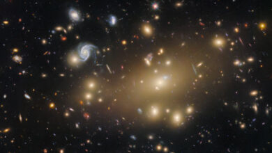 This Hubble image shows Abell 209, a galaxy cluster located about 2.8 billion light-years away in the constellation of Cetus. The color image includes both optical and infrared observations from Hubble’s Advanced Camera for Surveys (ACS) and Wide Field Camera 3 (WFC3). Twelve filters were used to sample various wavelengths. The color results from assigning different hues to each monochromatic image associated with an individual filter. Image credit: NASA / ESA / Hubble / M. Postman / P. Kelly.