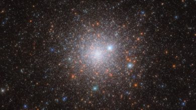 This Hubble image shows NGC 1786, a globular cluster located about 163,000 light-years away in the constellation of Dorado. The color image was made from separate exposures taken in the ultraviolet, visible and near-infrared regions of the spectrum with Hubble’s Wide Field Camera 3 (WFC3). Three filters were used to sample various wavelengths. The color results from assigning different hues to each monochromatic image associated with an individual filter. Image credit: NASA / ESA / Hubble / M. Monelli / M.H. Özsaraç.