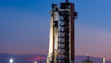 SpaceX e NASA autorizam missão Crew-11 à ISS em 31 de julho