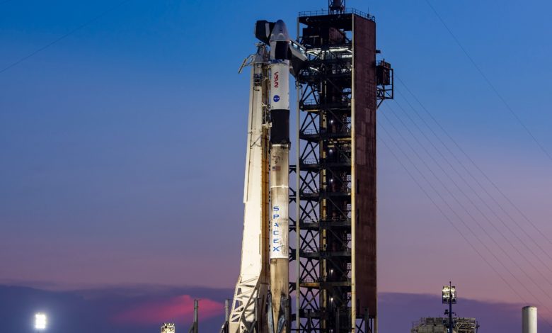 SpaceX e NASA autorizam missão Crew-11 à ISS em 31 de julho