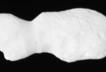 Donaldjohanson as seen by NASA’s Lucy spacecraft from a range of about 2,700 km (1,700 miles), about 3.2 minutes before closest approach on April 20, 2025. The illumination conditions, with the Sun almost behind Lucy, greatly reduce the contrast of topographic details. Image credit: NASA / Goddard / SwRI / Johns Hopkins APL.