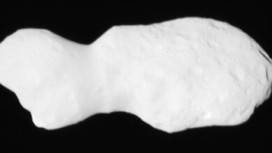 Donaldjohanson as seen by NASA’s Lucy spacecraft from a range of about 2,700 km (1,700 miles), about 3.2 minutes before closest approach on April 20, 2025. The illumination conditions, with the Sun almost behind Lucy, greatly reduce the contrast of topographic details. Image credit: NASA / Goddard / SwRI / Johns Hopkins APL.