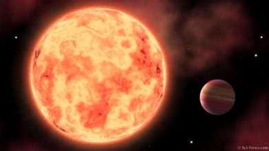 Hundreds of Exoplanets Discovered by NASA’s TESS Satellite Might Be Larger than We Thought