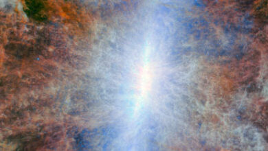 This Webb/MIRI image shows the central part of the starburst galaxy Messier 82. Image credit: NASA / ESA / CSA / Webb / A. Bolatto.