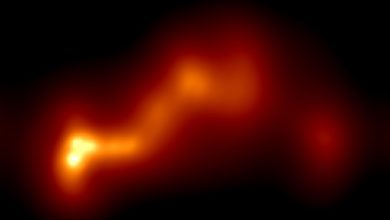 This image of OJ 287 reveals the sharply curved, ribbon-like structure of the plasma jet emitted from its center. Image credit: Efthalia Traianou / Heidelberg University / IWR.