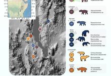 The Turkana Basin within the East African Rift System preserves fossil assemblages that date back more than 66 million years; Green et al. collected powdered samples for paleoproteomic analysis from the dense interiors of enamel from large herbivores from the Early Pleistocene back to the Oligocene (29 million years). Image credit: Green et al., doi: 10.1038/s41586-025-09040-9.