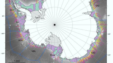 This map shows 332 submarine canyon networks on the seafloor of the Antarctic continent. Image credit: Riccardo Arosio & David Amblas, doi: 10.1016/j.margeo.2025.107608.