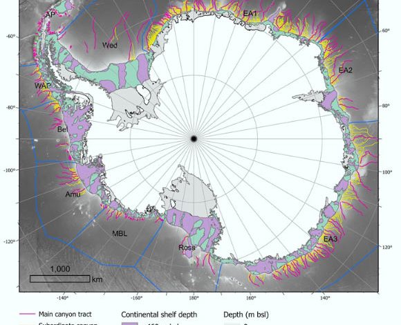 This map shows 332 submarine canyon networks on the seafloor of the Antarctic continent. Image credit: Riccardo Arosio & David Amblas, doi: 10.1016/j.margeo.2025.107608.