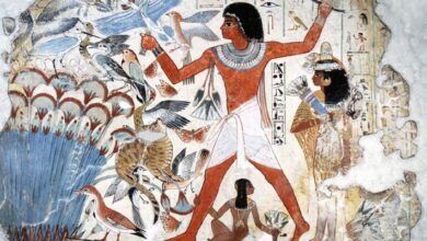 Researchers Sequence Whole Genome of Ancient Egyptian