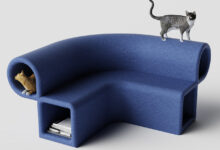 Design essencial: 5 dicas para criar pets felizes