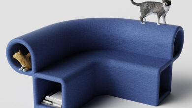 Design essencial: 5 dicas para criar pets felizes