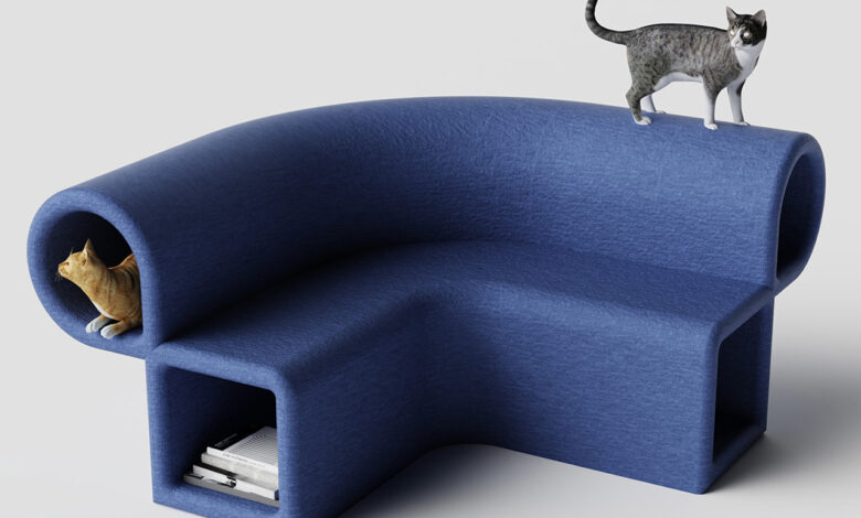 Design essencial: 5 dicas para criar pets felizes