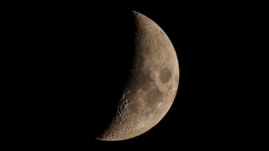 Exploração lunar: observe a lua crescente ao lado da estrela Spica