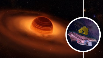 James Webb descobre exoplanetas solitários criam amigos na órbita