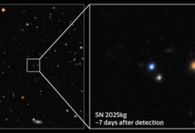 Astrofísicos rastreiam explosão de raios-X de estrela em órbita