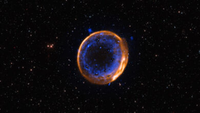 This image, taken with the Multi-Unit Spectroscopic Explorer (MUSE) instrument on ESO’s Very Large Telescope (VLT), shows the supernova remnant SNR 0509-67.5 -- the expanding remains of a star that exploded hundreds of years ago in a double-detonation. Calcium is shown in blue, and it is arranged in two concentric shells. These two layers indicate that the star exploded with a double-detonation. Image credit: ESO / Das et al. / Noll et al.