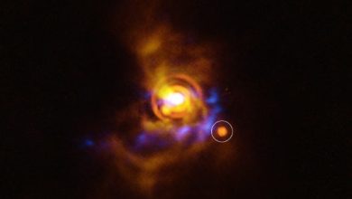 This image shows a possible substellar companion orbiting the young star V960 Mon. The candidate object was found with ESO’s Very Large Telescope (VLT), using its new Enhanced Resolution Imager and Spectrograph (ERIS). The new ERIS data are shown here in orange, overlaid on older images of the dusty disk as seen with the VLT’s SPHERE instrument (yellow) and ALMA (blue). Image credit: ESO / A. Dasgupta / ALMA / ESO / NAOJ / NRAO / Weber et al.