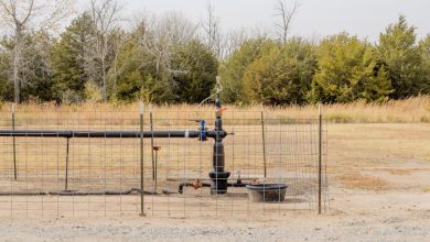 Microsoft compra créditos de carbono da startup Vaulted Deep