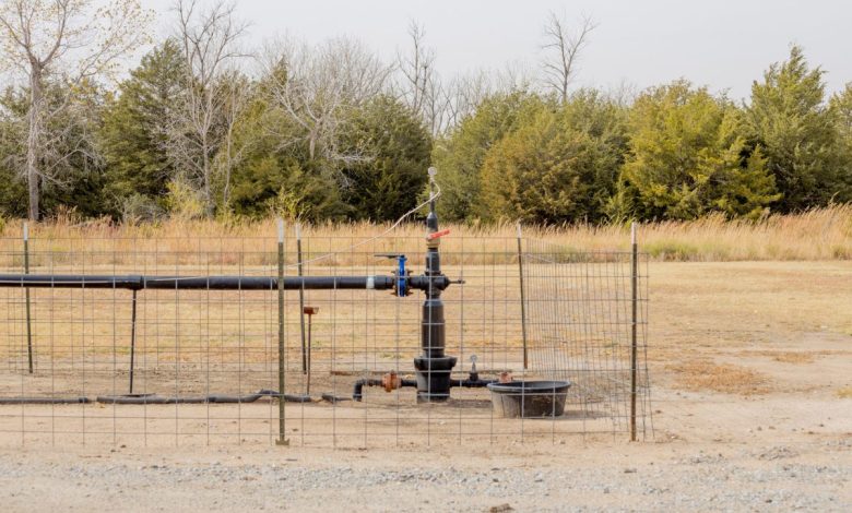 Microsoft compra créditos de carbono da startup Vaulted Deep