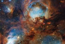 This Webb image shows the Cat’s Paw Nebula, a massive star-forming region located 5,500 light-years away in the constellation of Scorpius. Image credit: NASA / ESA / CSA / STScI.