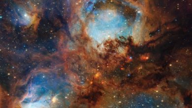 This Webb image shows the Cat’s Paw Nebula, a massive star-forming region located 5,500 light-years away in the constellation of Scorpius. Image credit: NASA / ESA / CSA / STScI.