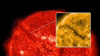 NASA registra erupção colossal que forma 'cânion de fogo' no sol