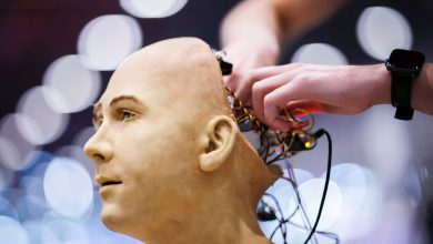 ML demanda abordagem global para regulação de AI