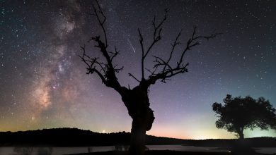 NASA observa cometa se afastando da Terra por 80.000 anos