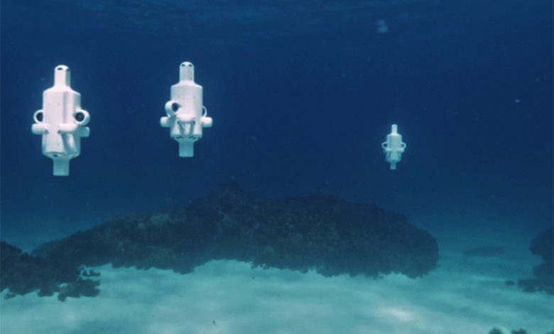 Robôs submarinos revelam perda de corais em recifes do sul