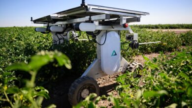 AI substitui agrotóxicos e mão de obra na agricultura