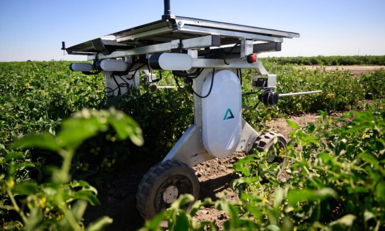 AI substitui agrotóxicos e mão de obra na agricultura
