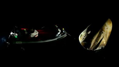 SpaceX traz astronautas da missão Ax-4 de volta à Terra
