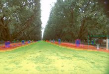 Bonsai Robotics e farm-ng desenvolvem robôs para agricultura inteligente